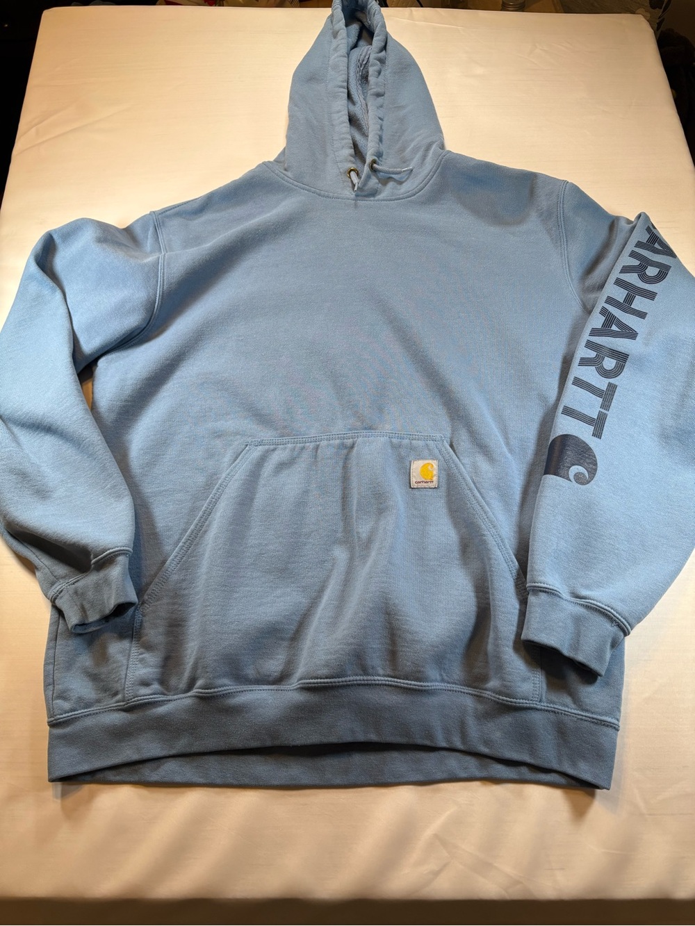 Carhartt Graphic Logo Hoodie Sweatshirt Mens Large Slate Blue Loose Fit